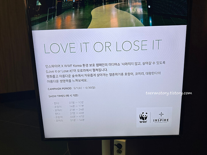 오로라-시간