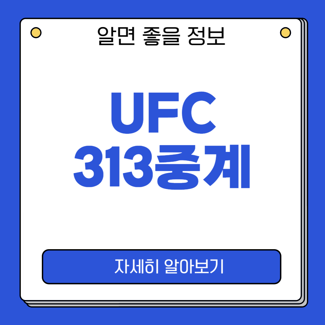 UFC313 중계