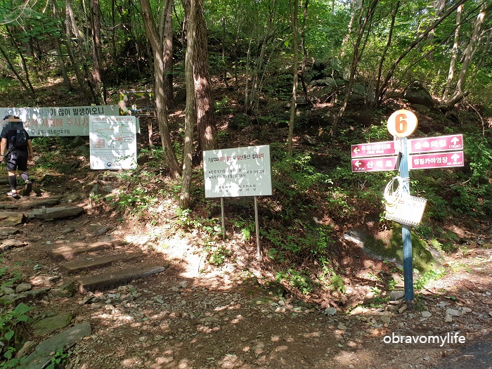 등산로 입구