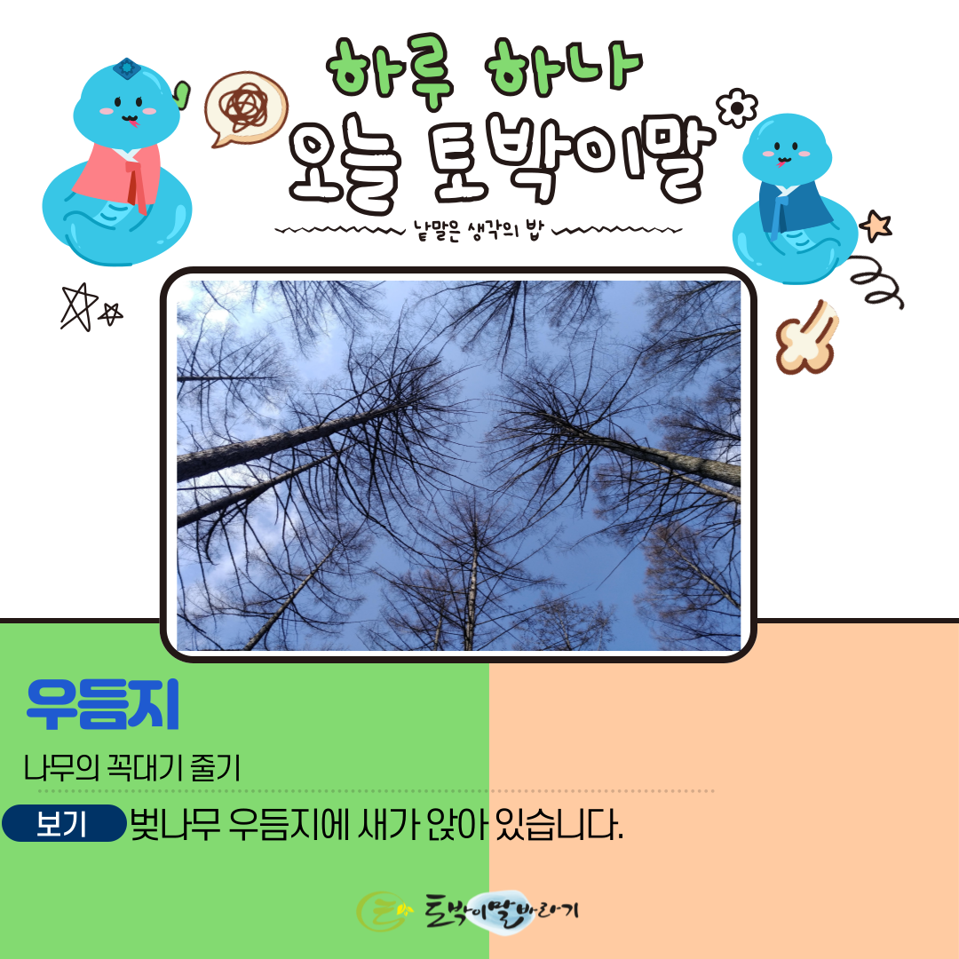 우듬지 이미지