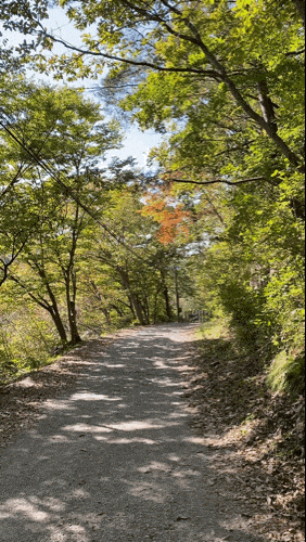 직소 [부안/변산면] : 변산반도국립공원 27