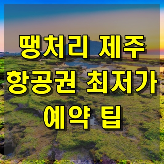 땡처리 제주 항공권 최저가 예약 팁