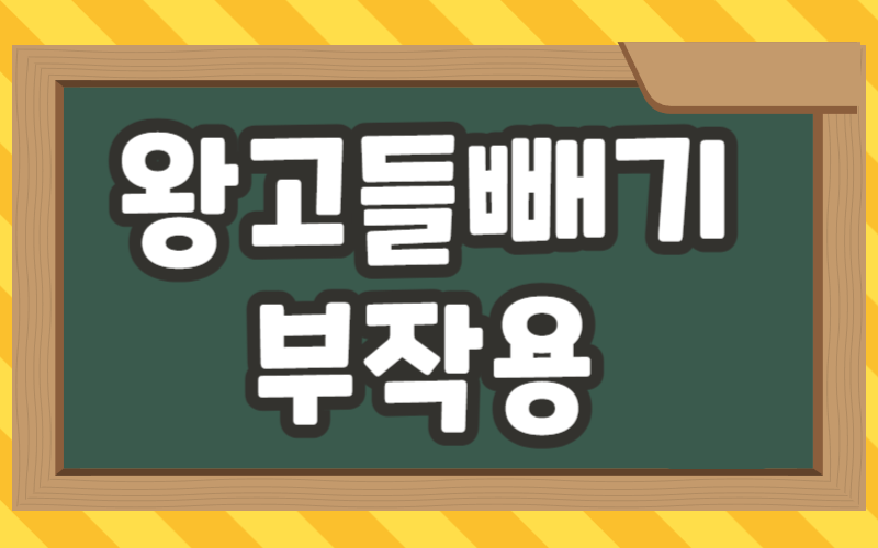 왕고들빼기 부작용