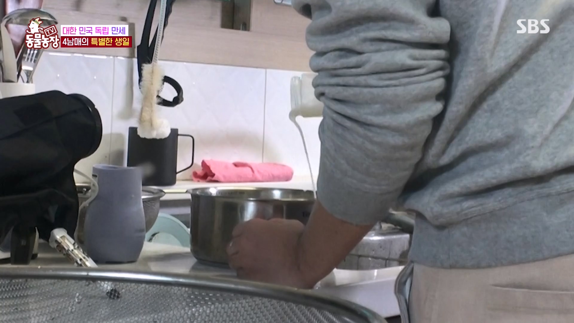 TV 동물농장.E1161.240303p-NEXT.mp4_20240303_172252.047.jpg