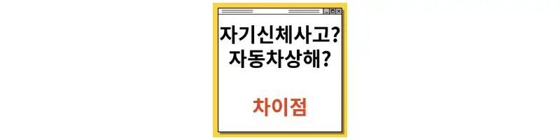  자기신체사고 자동차상해 차이점 상세 설명