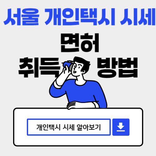 면허 취득 후의 준비 사항