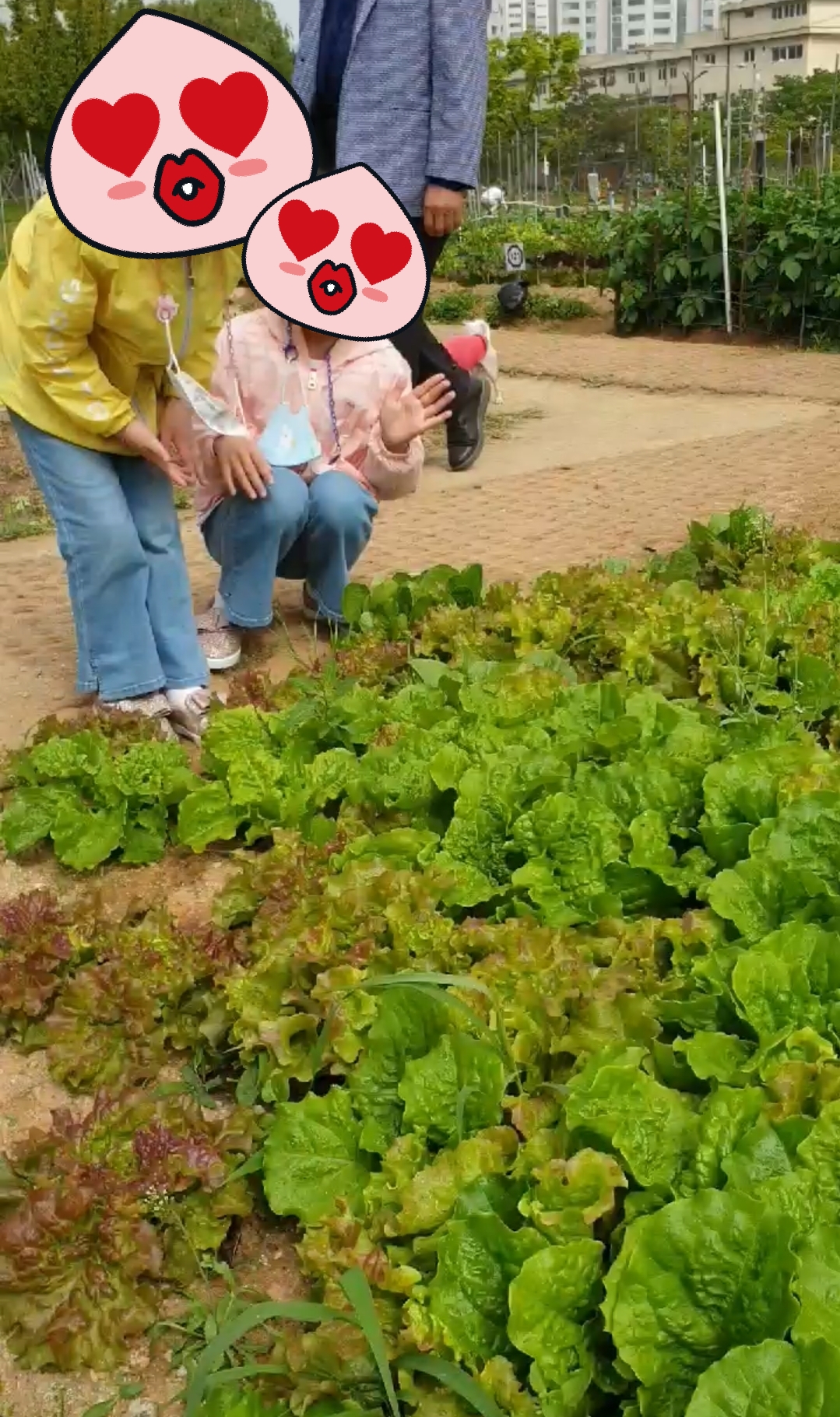 지자체-도시-텃밭에서-아이들과-보내는 시간