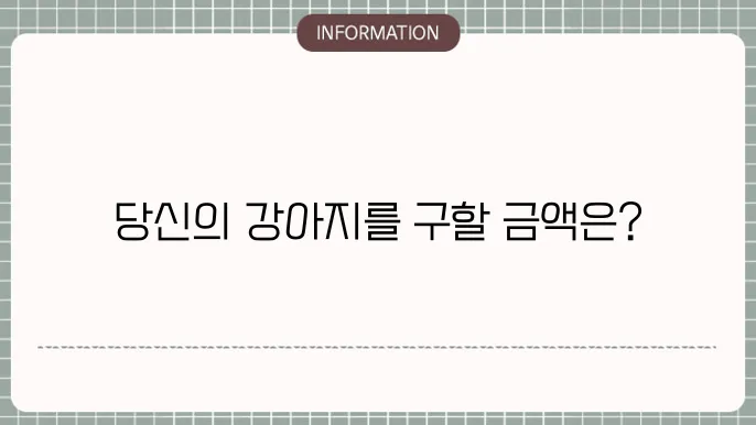 강아지백내장