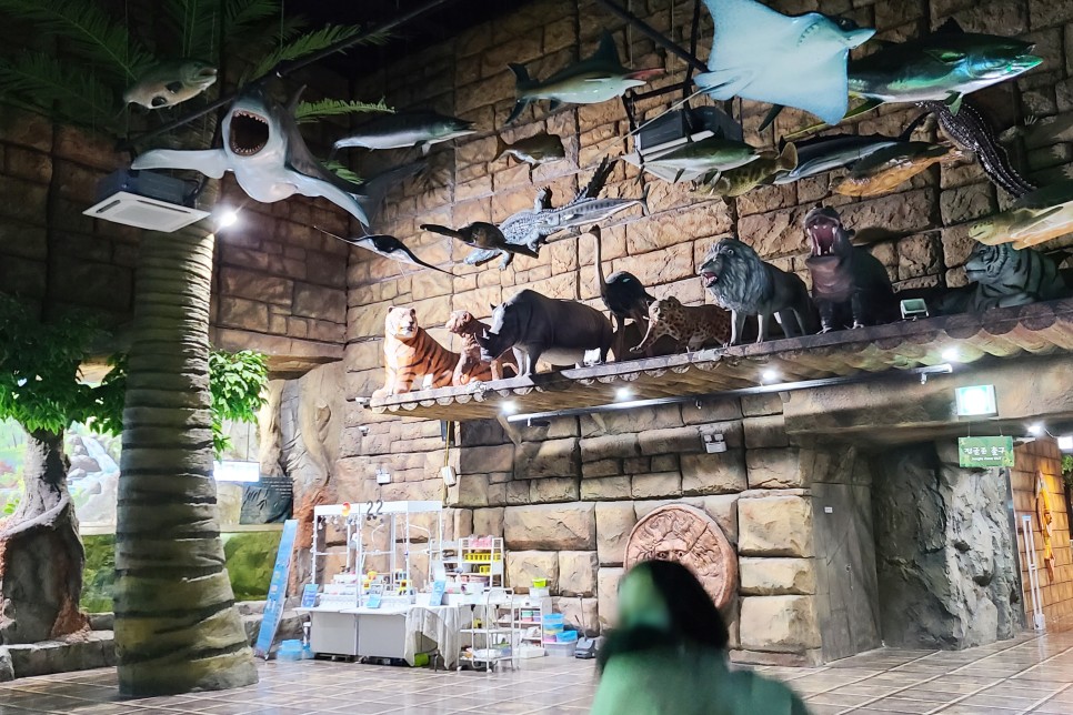 부천 아쿠아리움 부천 아쿠아리움먹이주기 체험 26