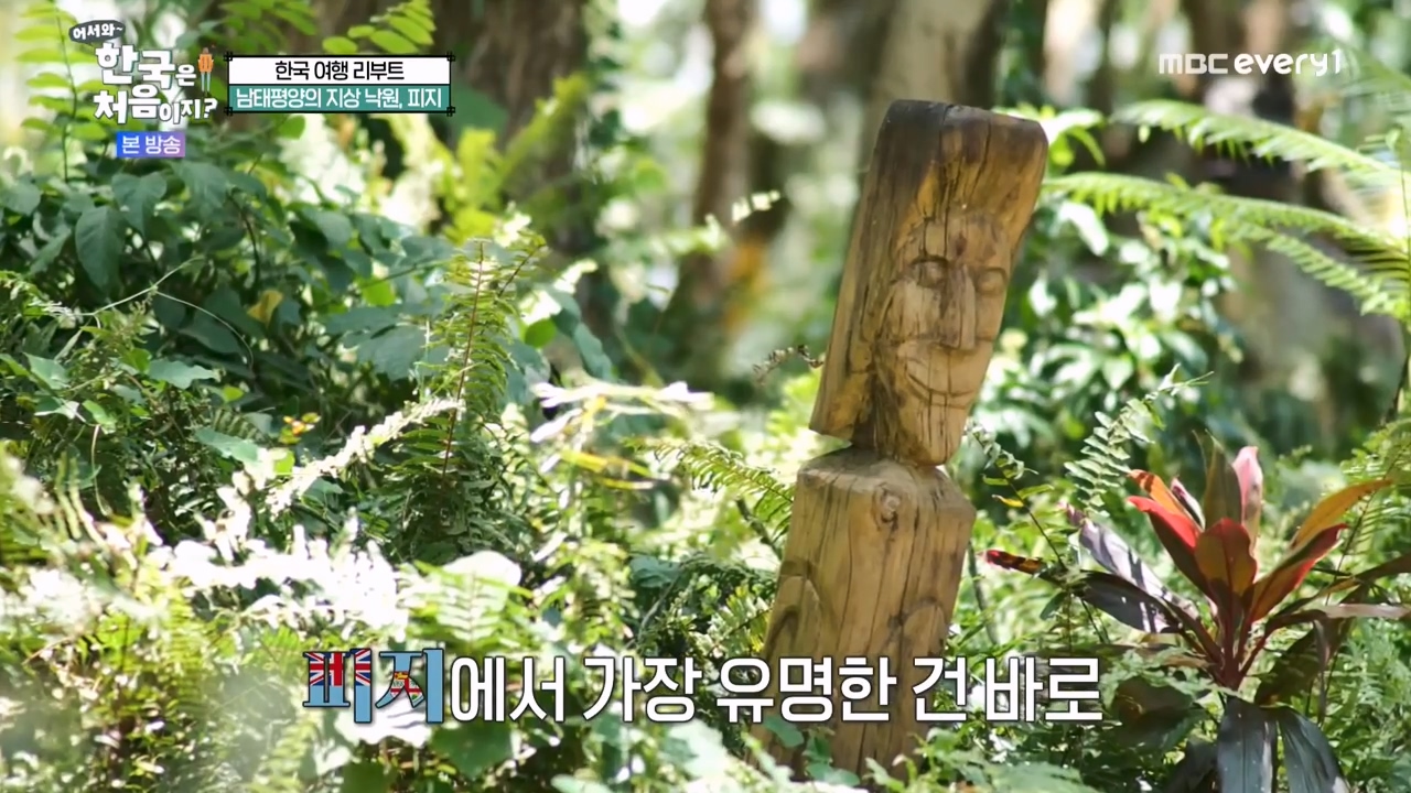 어서와 한국은 처음이지 시즌2.E298.240119p-NEXT.mp4_20240119_193429.849.jpg