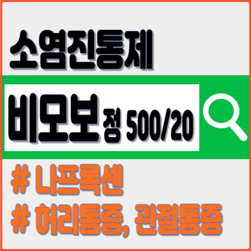 비모보정