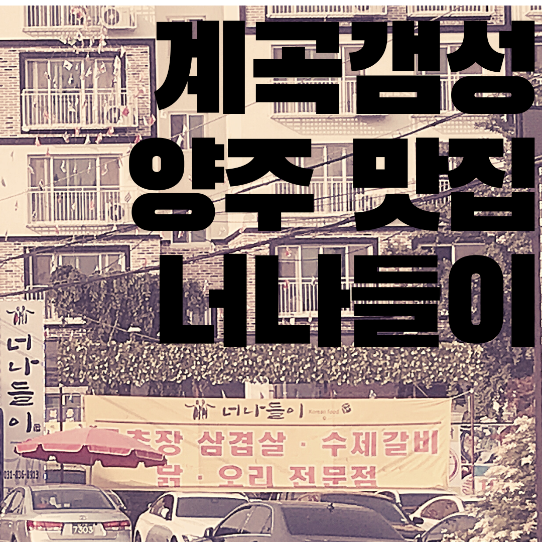  양주맛집 너나들이 계곡감성의 시원한 분위기 와 맛!