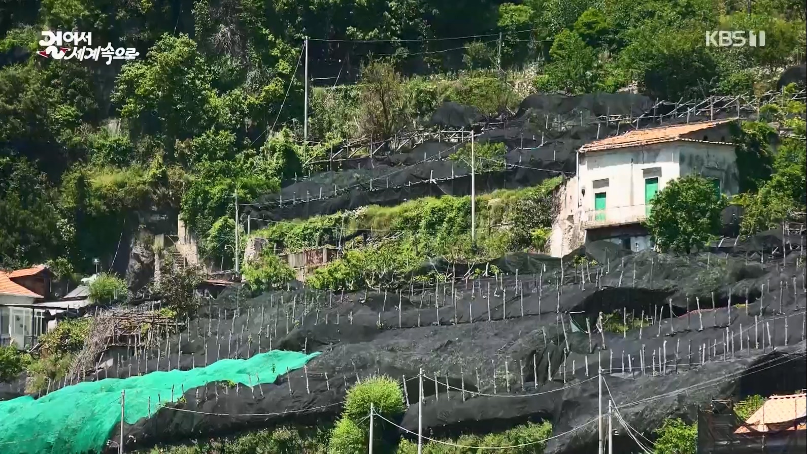 걸어서 세계속으로.E799.230708p.mp4_20230710_211558.281.jpg