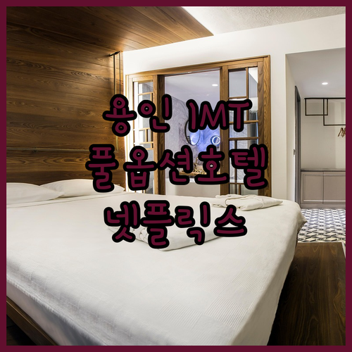 용인 IMT 호텔 완전분석! ACE침