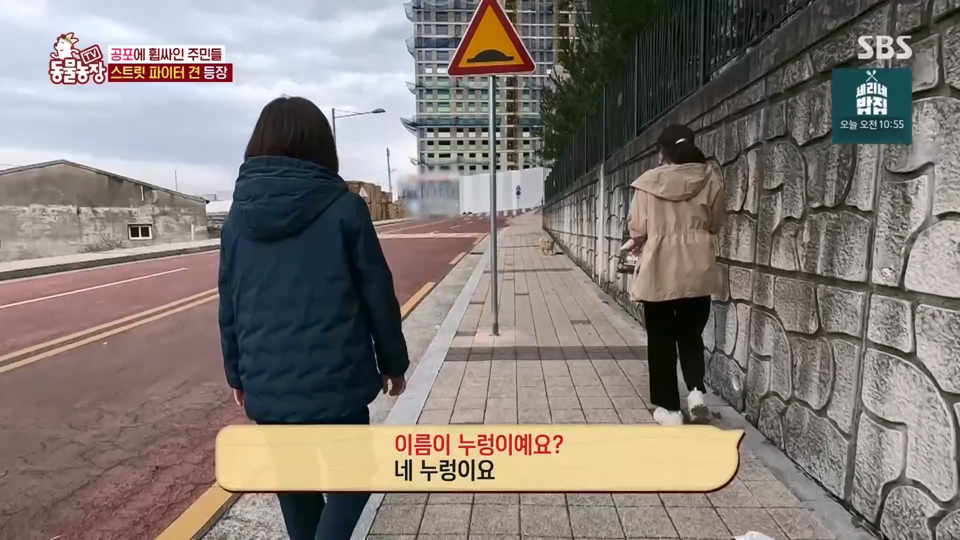 TV 동물농장.E1170.240505p.H264-F1RST.mp4_20240505_153817.788.jpg