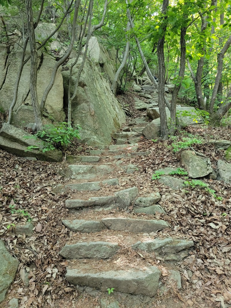 홍성 용봉산 등산코스 홍성 용봉산 22