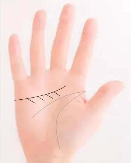 감정선 아래 많은 가지선