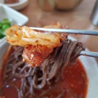 막국수 닭무침 닭곰탕