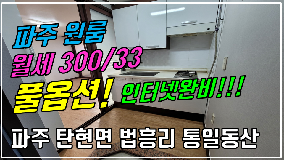  파주 탄현면 법흥리 원룸/통일동산 원룸/헤이리 원룸/파주영어마을 원룸/엘지디스플레이 원룸 월세 300/33만 인터넷완비 주방분리형 풀옵션 조망좋고 채광좋은 남향집 2층 깔끔한 넓은 원룸