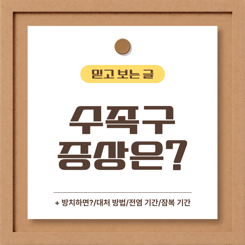 수족구 증상은?
