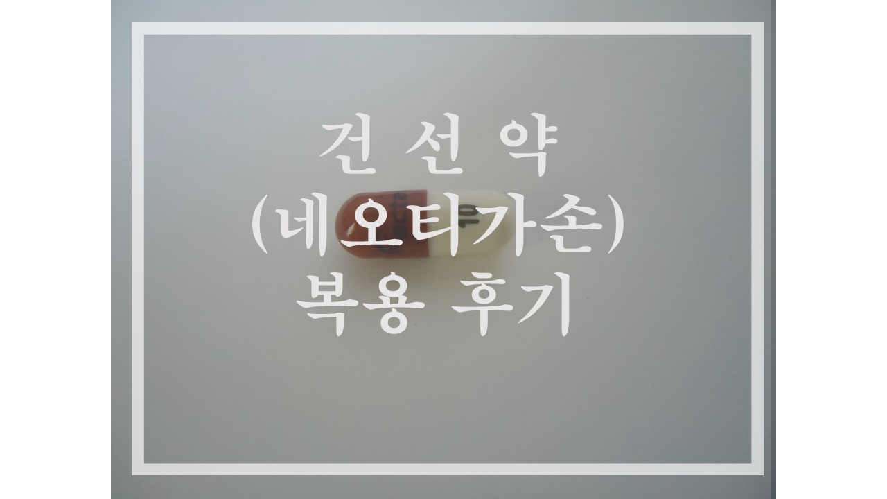  지루성 피부염 네오티가손 복용