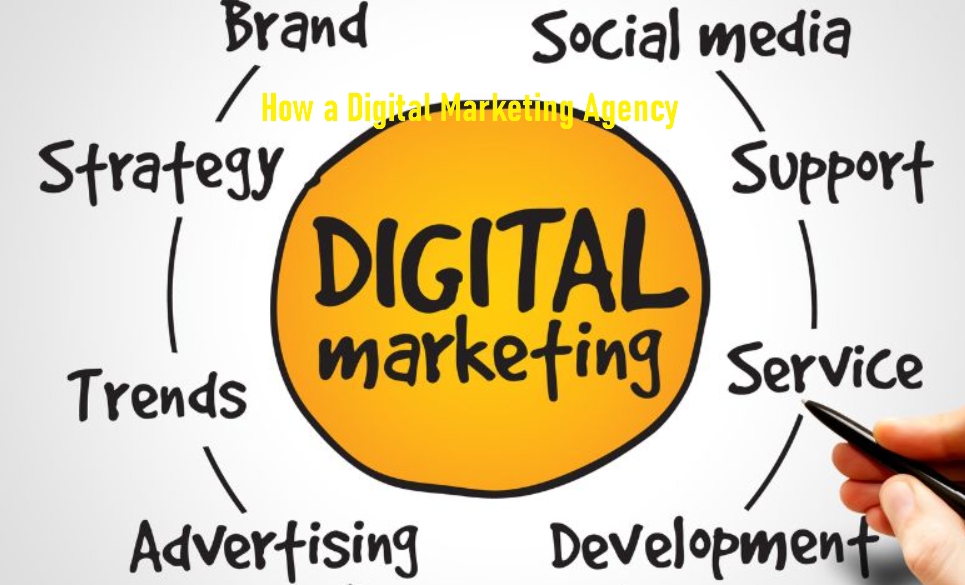 How a Digital Marketing Agency Can Transform Your Business