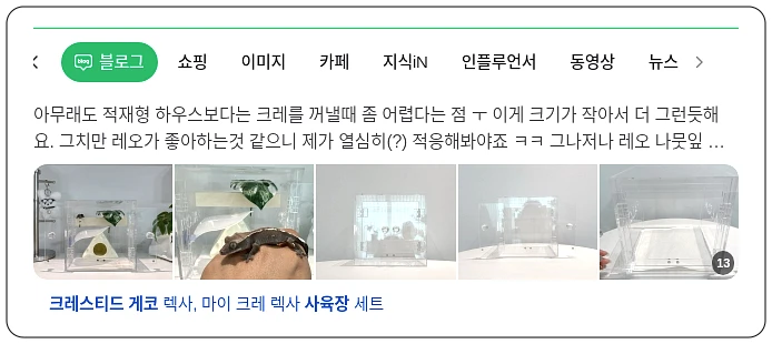 크레스티드게코 사육장_1_subsection