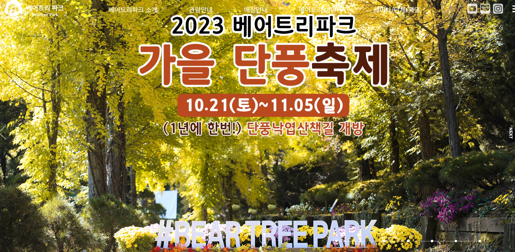 세종 베어트리파크 단풍축제 예매 방법10월21일~11월5일 16일 간 개최