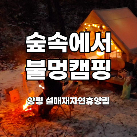  근교 숲속에서 불멍 캠핑 - 양평설매재 자연휴양림