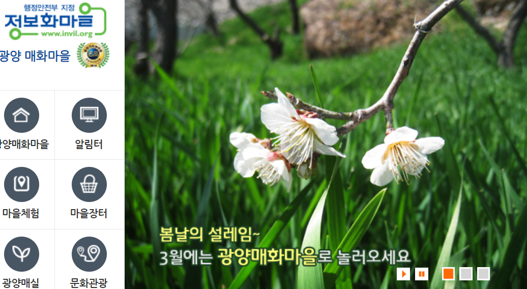 광양 매화마을 2