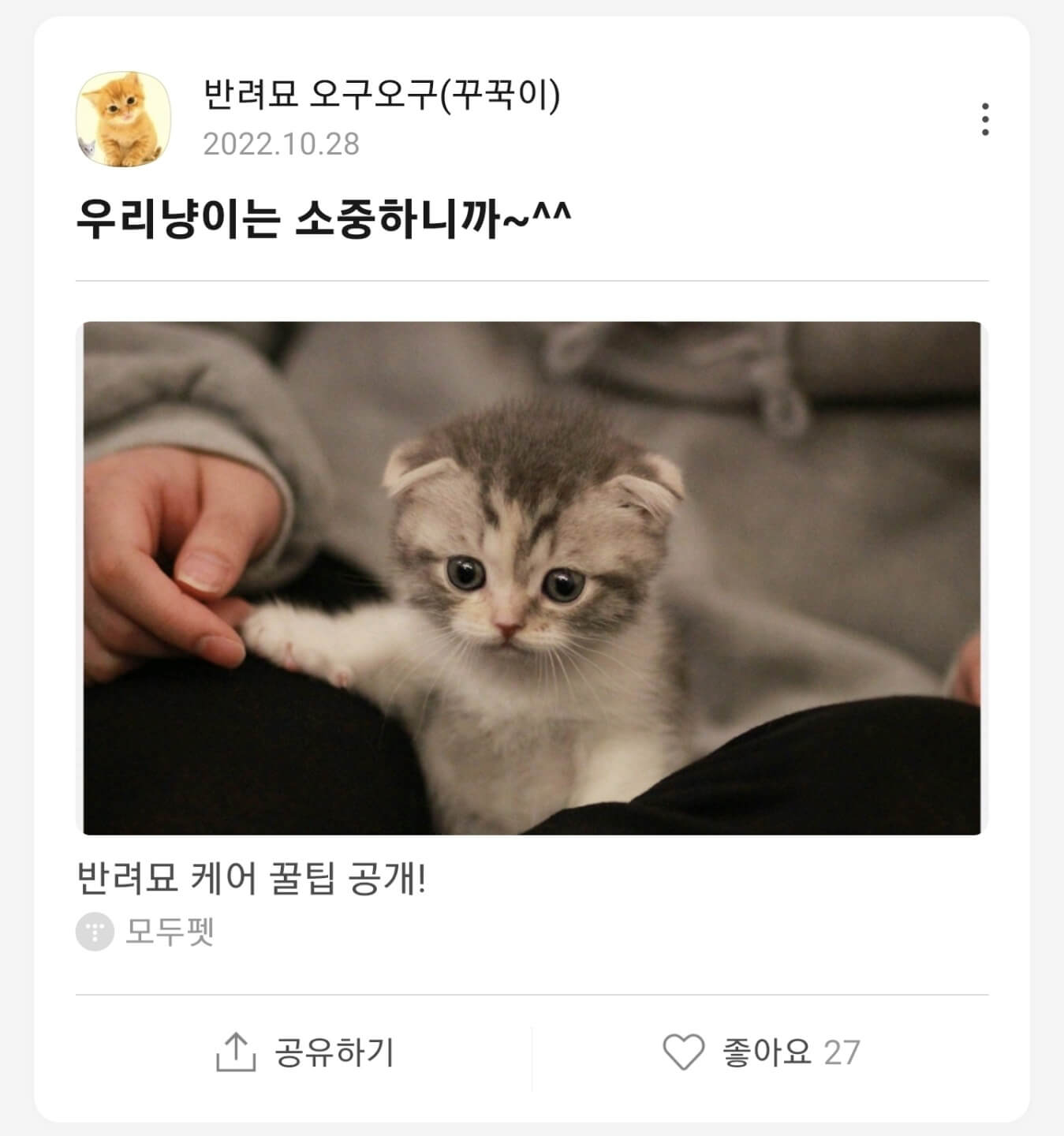 반려묘 오구오구 카톡 게시물