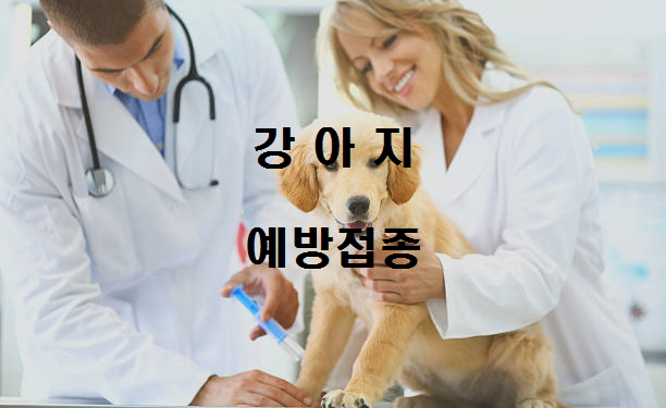 노다지네 잡학다식