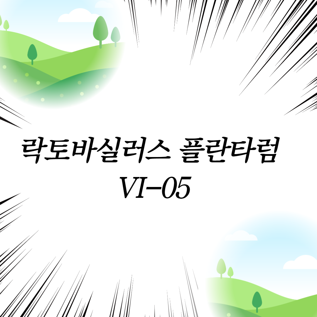  락토바실러스 플란타럼 VI-05