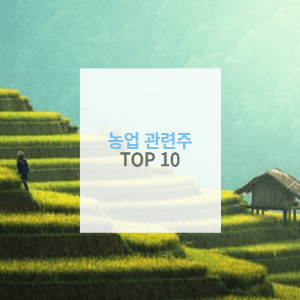 농업 관련주 TOP10