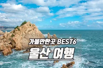 울산 가볼만한곳 베스트10 현지인 추천 필수코스_5
