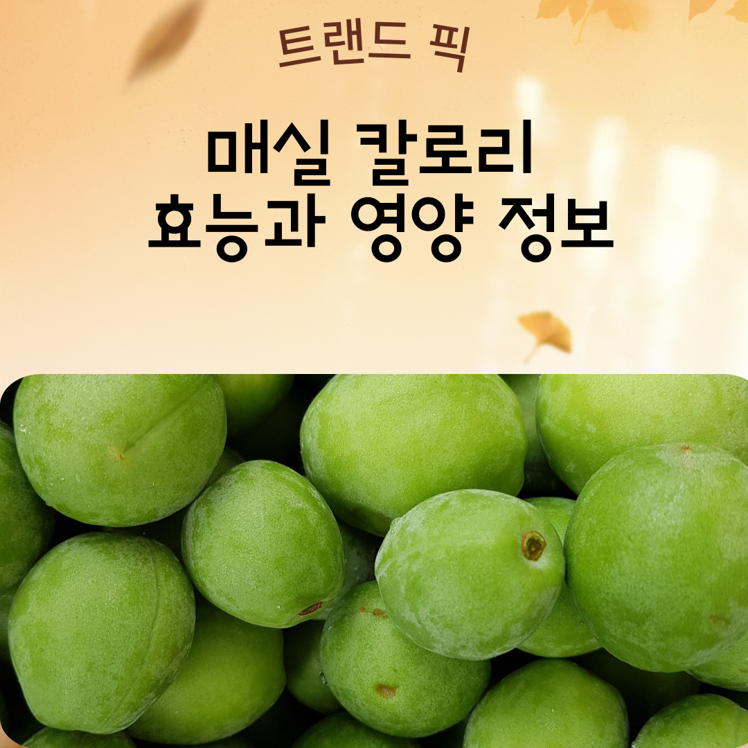 매실 효능 및 부작용 총정리