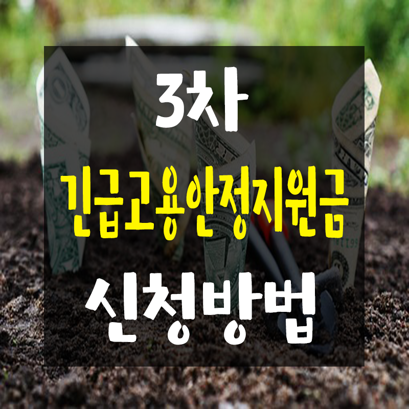 3차긴급 고용안정 지원금 3차 긴급고용안정지원금 6