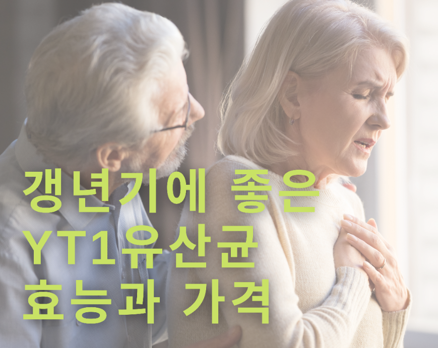  갱년기 유산균 와이티원YT1 효능과 가격