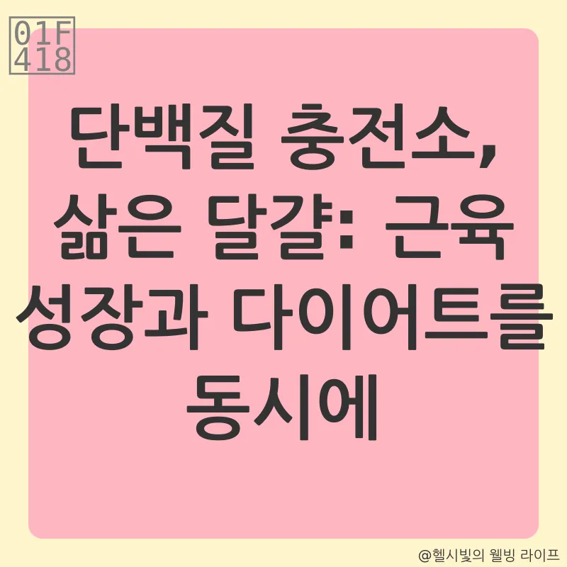 야식 대체_2