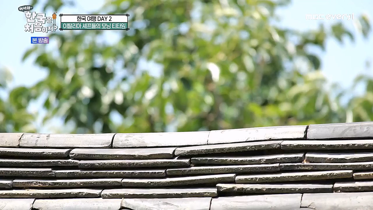 어서와 한국은 처음이지 시즌2.E245.230113p-NEXT.mp4_20230114_203729.169.jpg