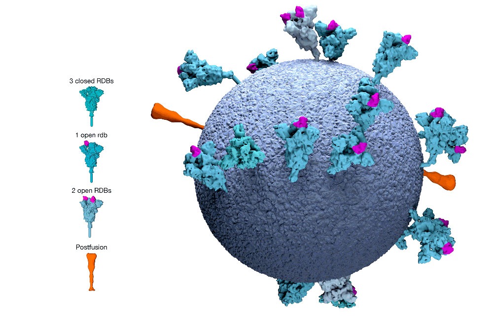  mrna 백신 관련주 10종목