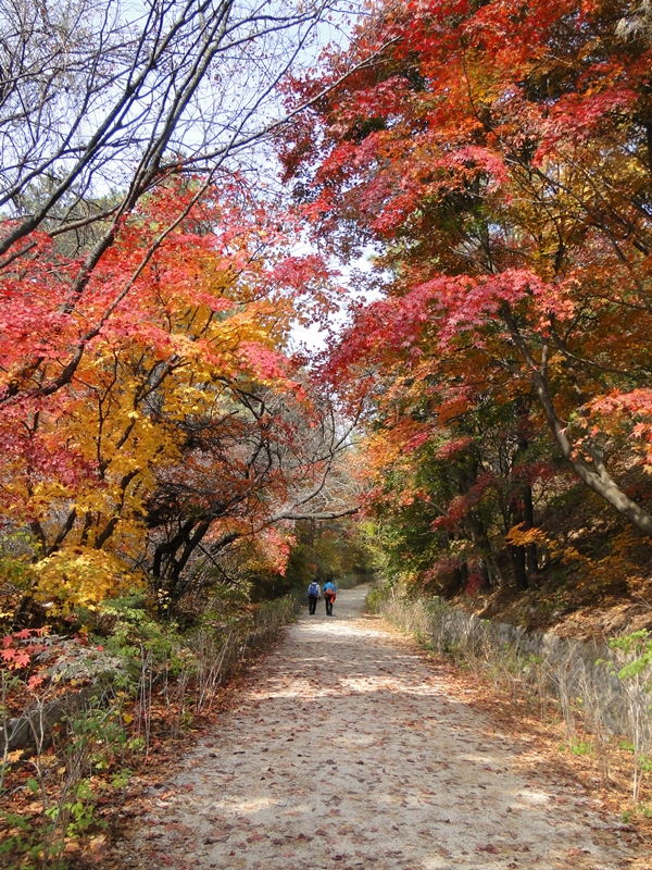 북한산의_가을풍경