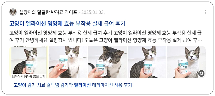 고양이 영양제 엘라이신_3_subsection