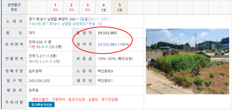 경매시 대지, 입찰외란? 2