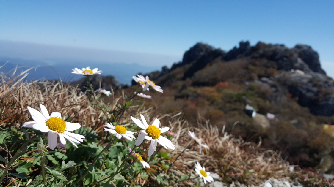 출처-가야산국립공원홈페이지