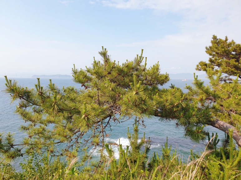1박3식 [거제도 여행] 이수도 30