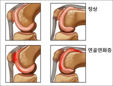 연화랑 이미지