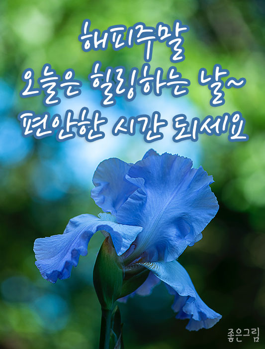 토요일 이미지