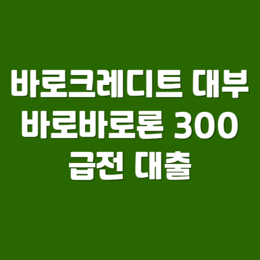 바로크레디트 대부 바로바로론 바로 300 급전 대출