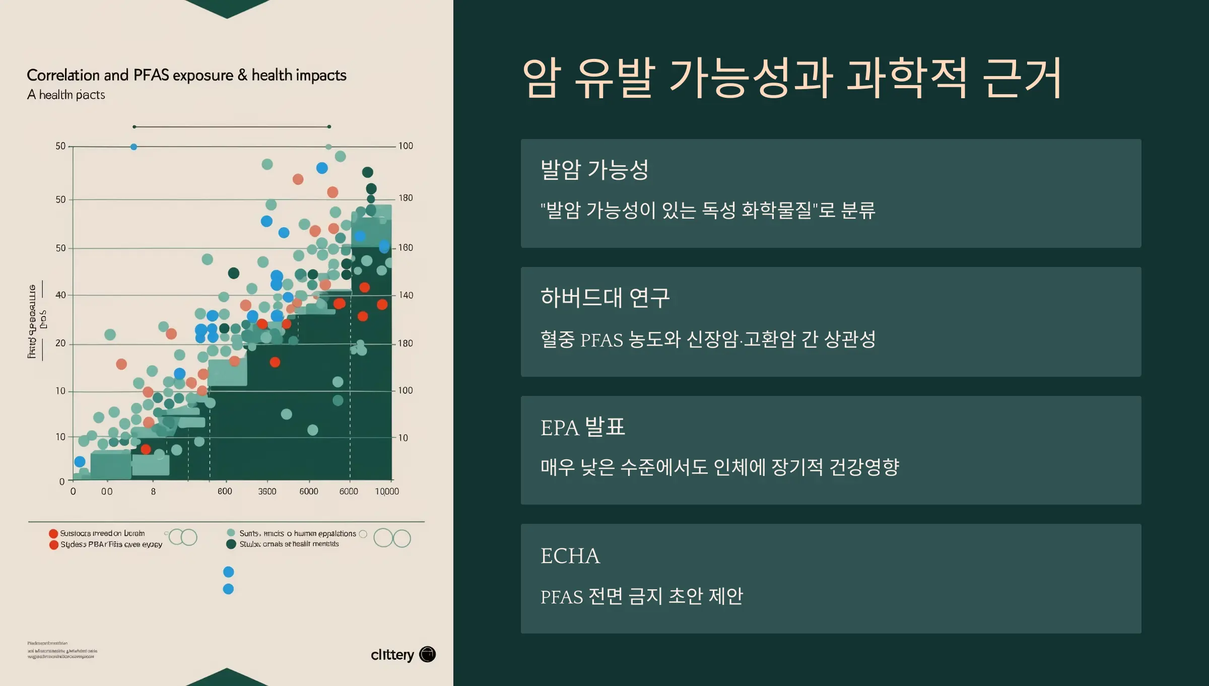 암 유발 가능성과 과학적 근거